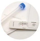 Dengue Anticorpo IGM/IGG